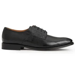 Bruno Magli Asti Traditional Dress Oxford Black Eel Best