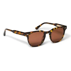 Bruno Magli Treviso Sunglasses Tortoise Brown Discount